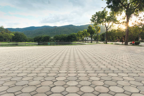 Best Decorative Driveway Pavers  in Hden Springs, ID